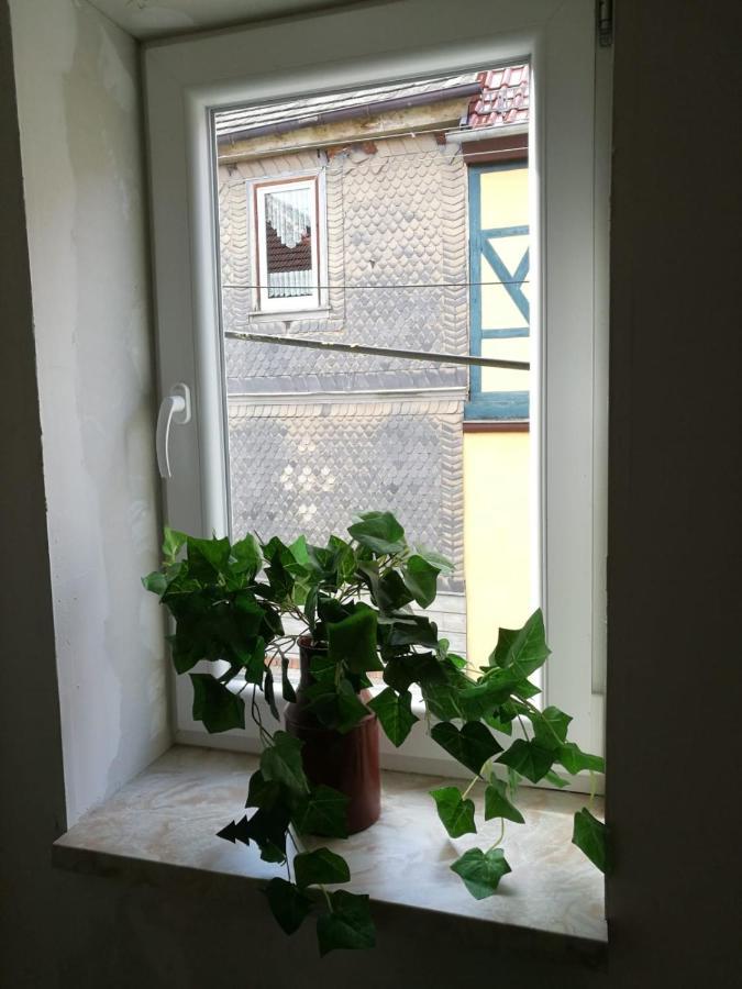 Hainich Oberdorla Luaran gambar